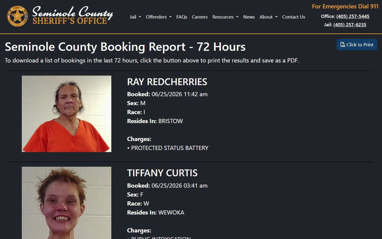 Seminole County jail mugshots 72-hour booking report photo slots